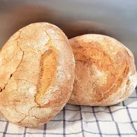 Tuscany bread|Laura Masoniさん