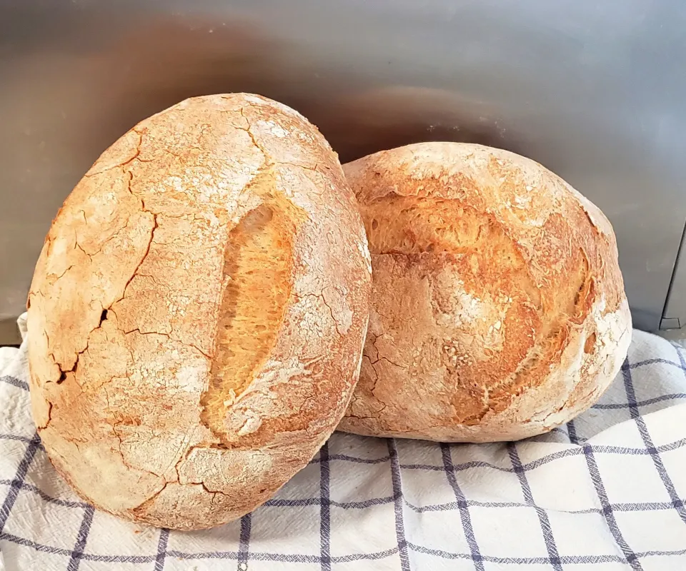 Tuscany bread|Laura Masoniさん