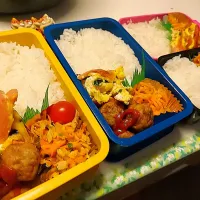 夫弁当､息子弁当､娘弁当､私弁当|みどりさん