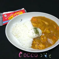 とりあえず塩麹パウダー・温玉乗せチキンカレー✨|cocco+さん