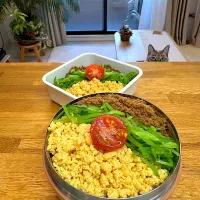 3色そぼろ丼