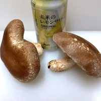 輪島からの贈り物　でっかい椎茸|Georgeさん