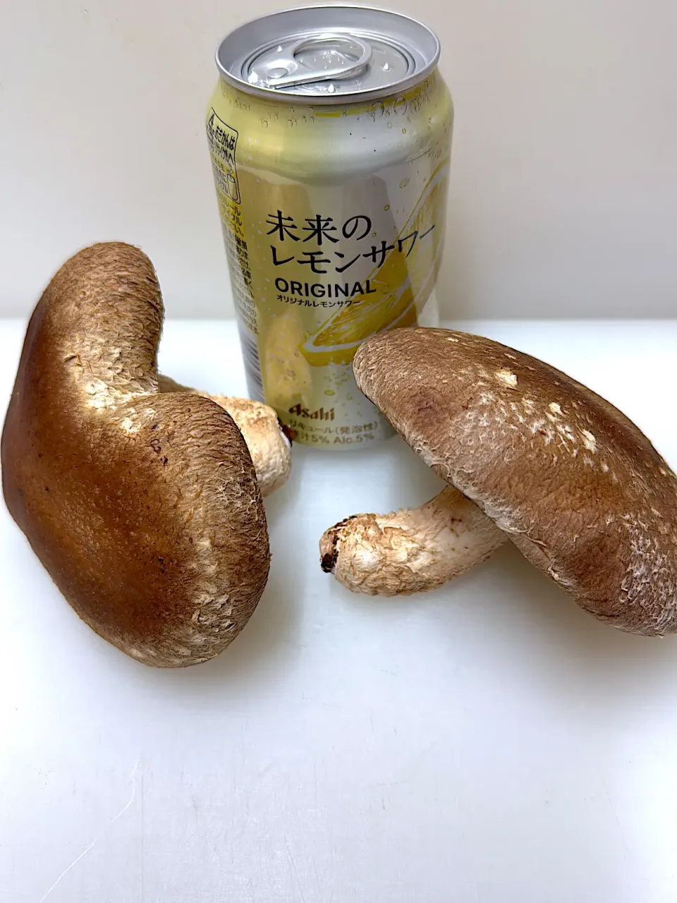 輪島からの贈り物　でっかい椎茸|Georgeさん