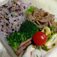 雑穀米ブロッコリー炒め豚肉甘辛煮弁当|yayoi.Kさん