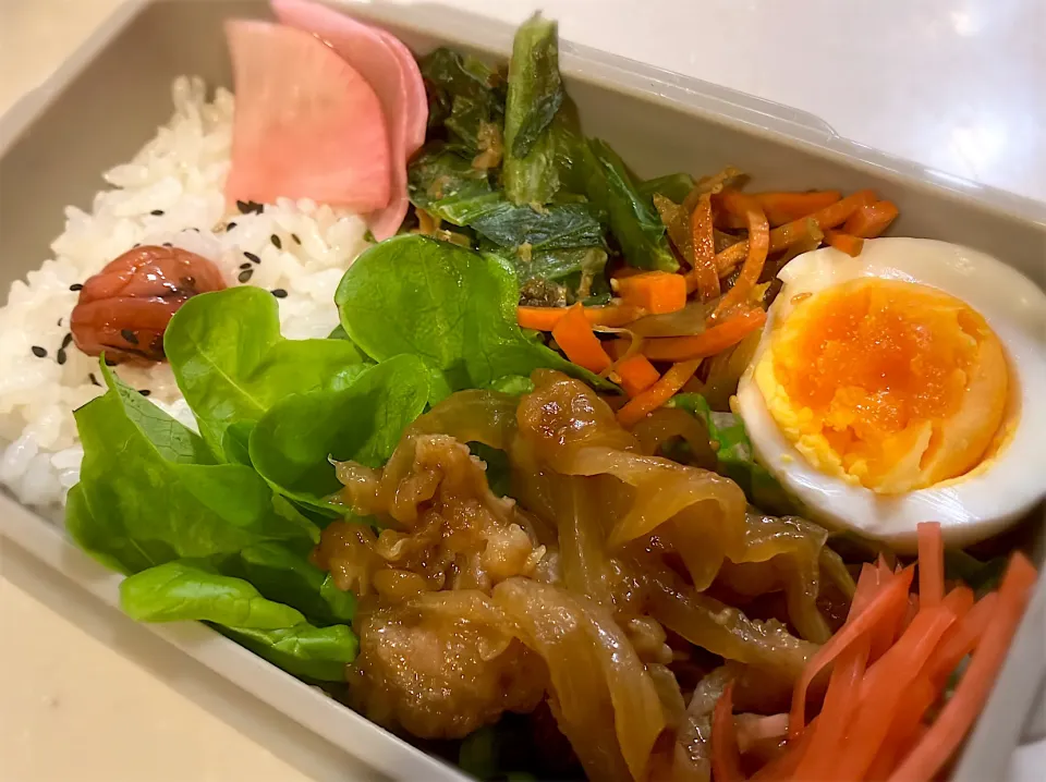 今日の弁当|もちまるさん