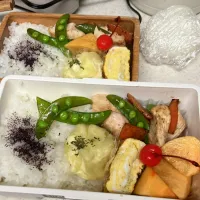 自家製サラダチキンソテー弁当|たんぽぽさん