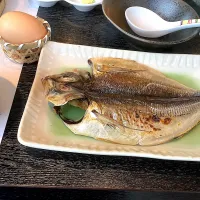 伊東の朝飯といえば『アジの干物』🐟😋| アライさんさん