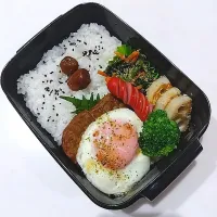 12/20お弁当|なおさん