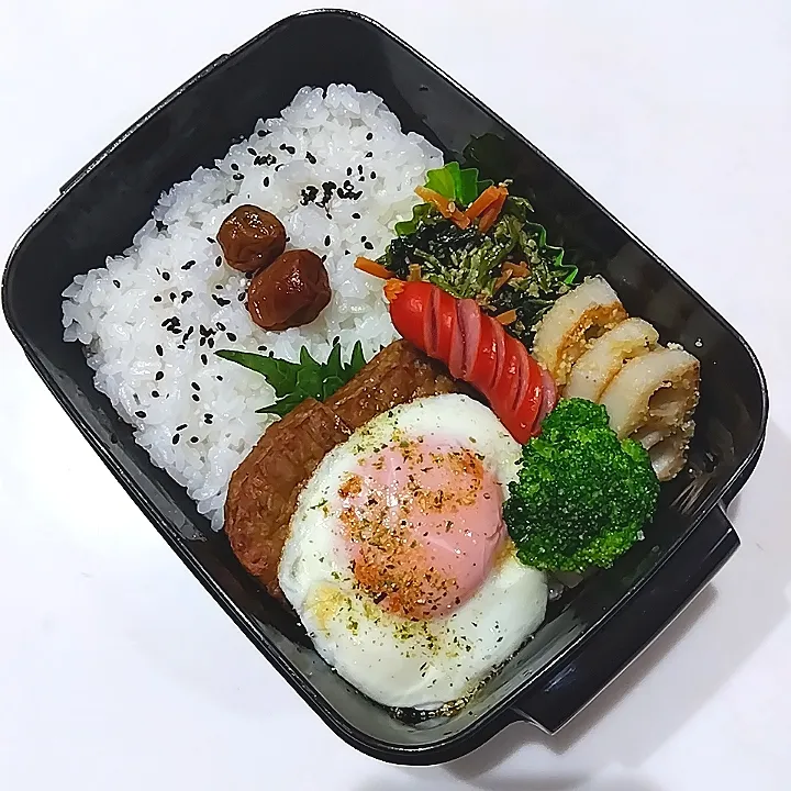 12/20お弁当|なおさん