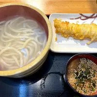 今日のお昼は、釜揚げうどんとイカ天♪| yokoさん