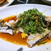 steam fish cantonese style| rufvalさん