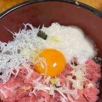 ネギトロシラストロロ丼| さんだーさん