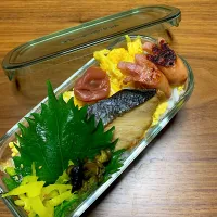 レンジでチンする簡単弁当|Riemamaさん