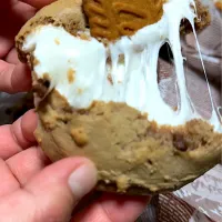 Biscoff Smores Cookies|Laarni Nabongさん