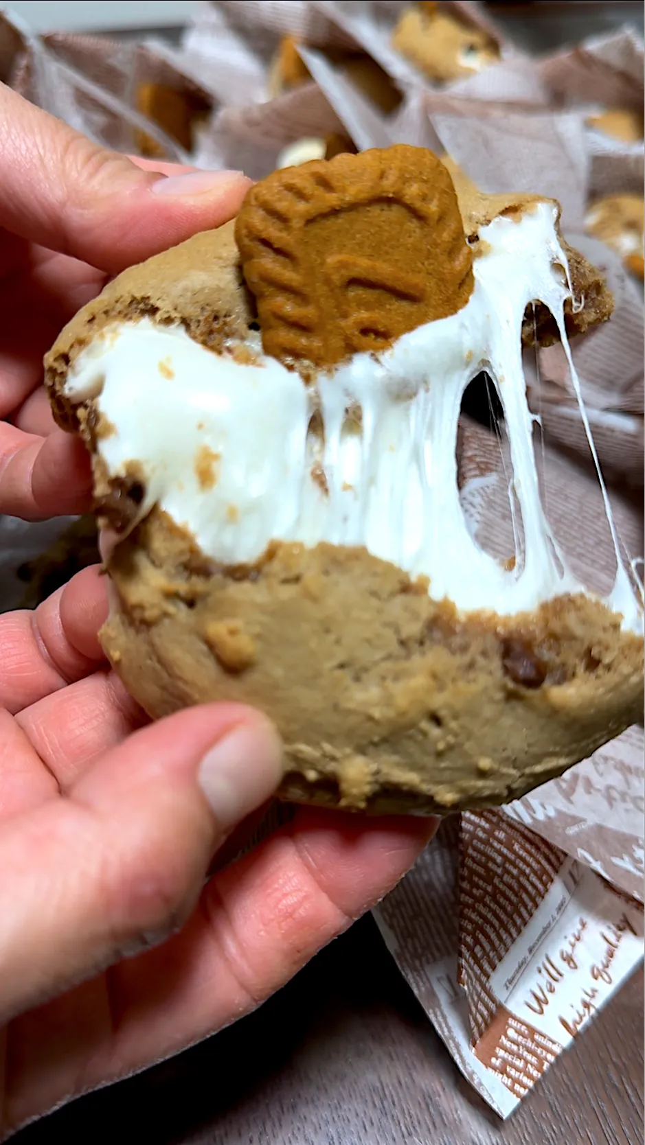 Biscoff Smores Cookies|Laarni Nabongさん