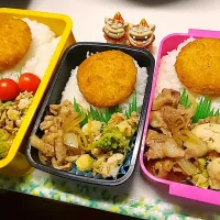 夫弁当､娘弁当､私弁当|みどりさん