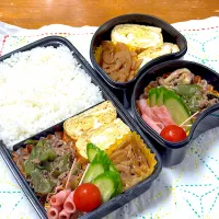 牛肉オイスター炒め弁当|アッキーさん