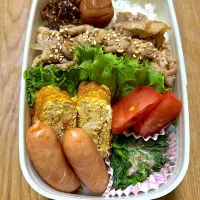 わっぱ弁当|望さん