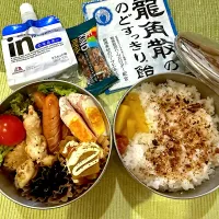 今日のヤツのお弁当（R6.12.21）|え〜かさん