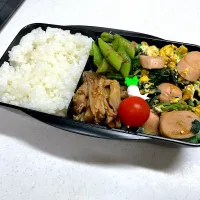 12/24 旦那弁当⁂ぎょにくんたまご弁当|ゆさん