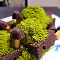 苔ケーキ　スナゴケコロニー😋　　　　　　苔テラリウムクリエイターとしては　　　チャレンジしたくなる💡|みるくここあさん