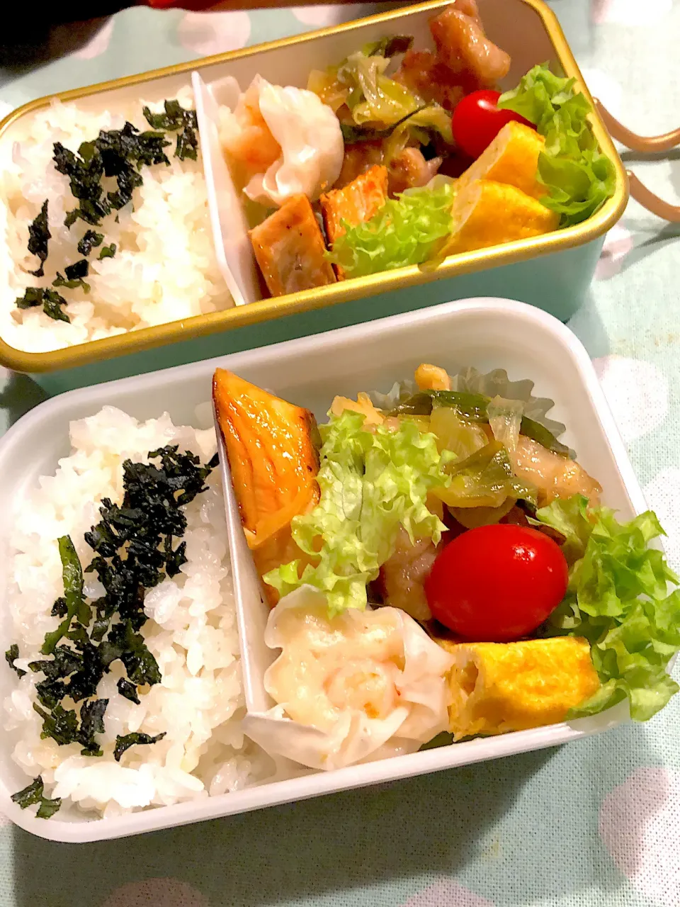 2024.12.25  ＊今日のお弁当＊鶏もも肉のねぎ塩🎶|rinrin*mama*さん