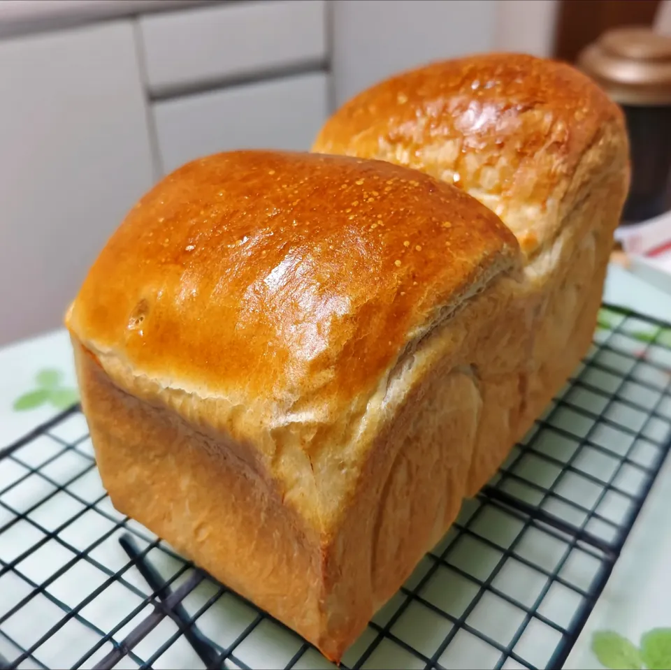 山食|魔女の食卓さん