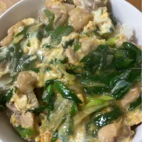 12/25 葉たまねぎの親子丼|はるははさん