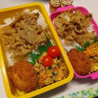 夫弁当､私弁当|みどりさん