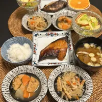 具合が悪くなる寸前のお夕飯に！FitDishのお夕飯|らぴすらずり(らぴ)さん