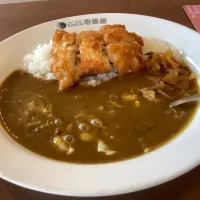 今年もお世話になりました『CoCo壱番屋』さん🍛😋|アライさんさん