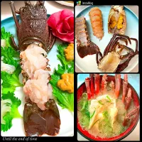 伊勢海老🦞ぷりぷり美味しい|TaNakaさん