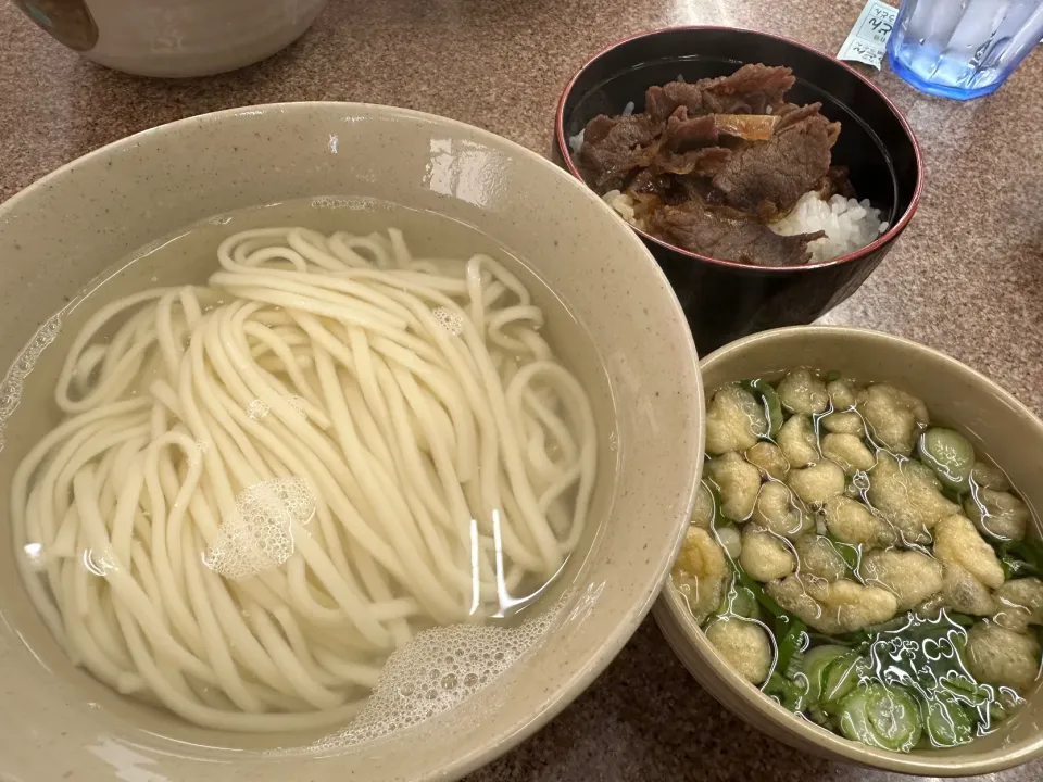 天領うどん、ミニ牛めし|buhizouさん