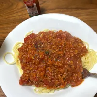 ミートソース🍝|ルナピーボールさん