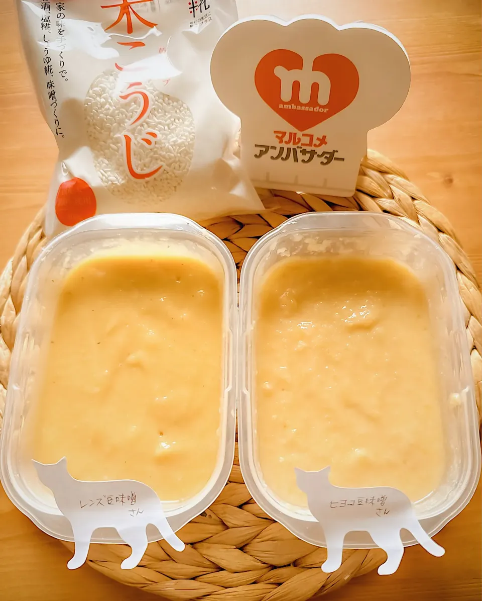 今年最後の手仕事・自家製味噌～🐥ひよこ豆＆レンズ豆🔎～|にゃんぺこさん