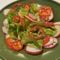 Radish, Kapia Pepper and Lettuce Salad with an Orange Glaze, Topped With Hemp and Poppyseeds|Liviaさん