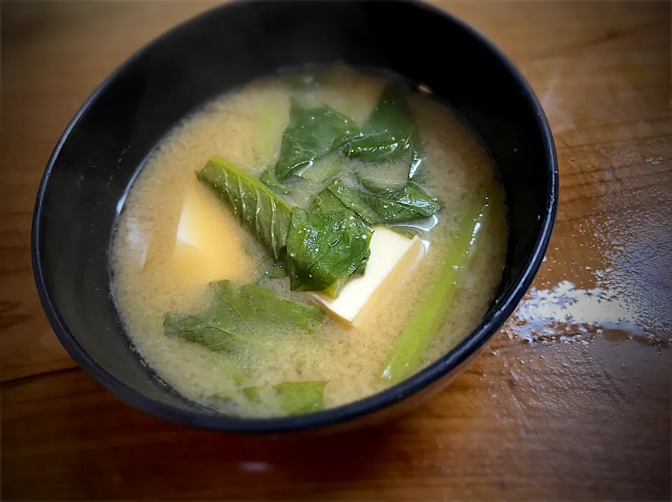 小松菜と豆腐のお味噌汁|名状しがたいゴミムシのようなものさん