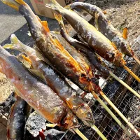 鮎の炭焼き🐟|ピヨまるさん