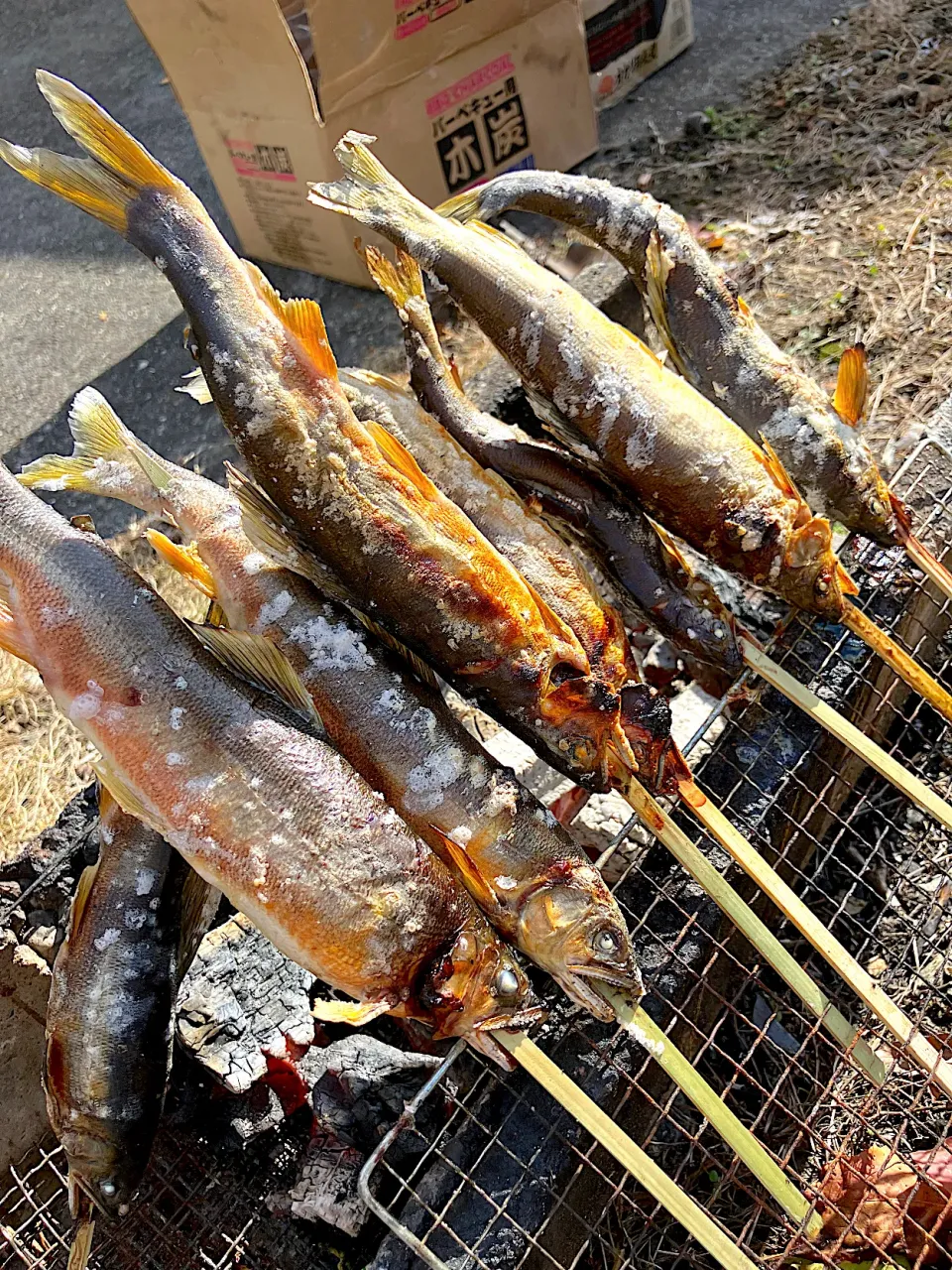 鮎の炭焼き🐟|ピヨまるさん