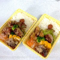 2025年1月3日お弁当🍱|もぐぷーさん