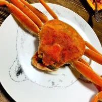 かにさん🦀|るんさん