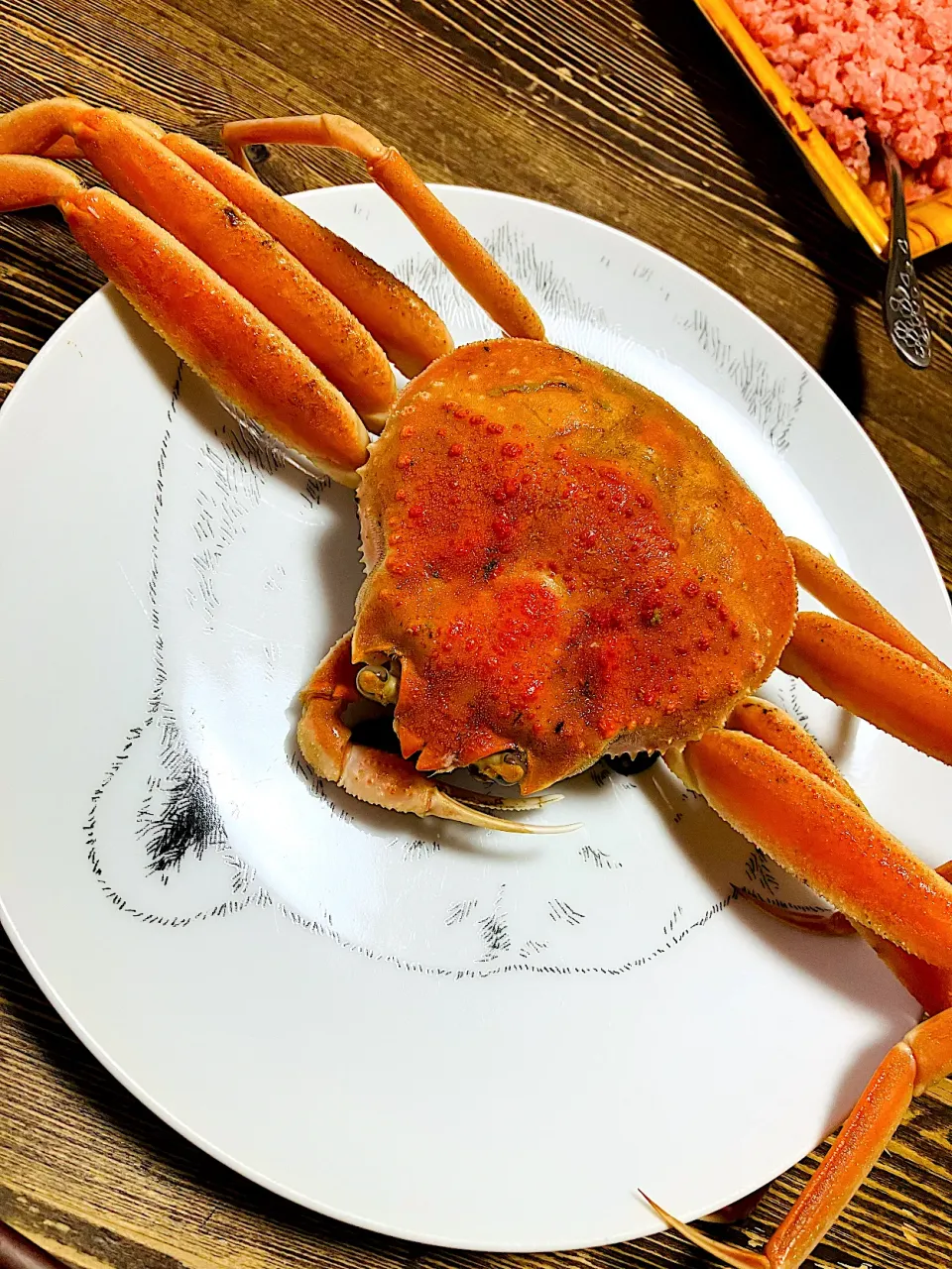 かにさん🦀|るんさん