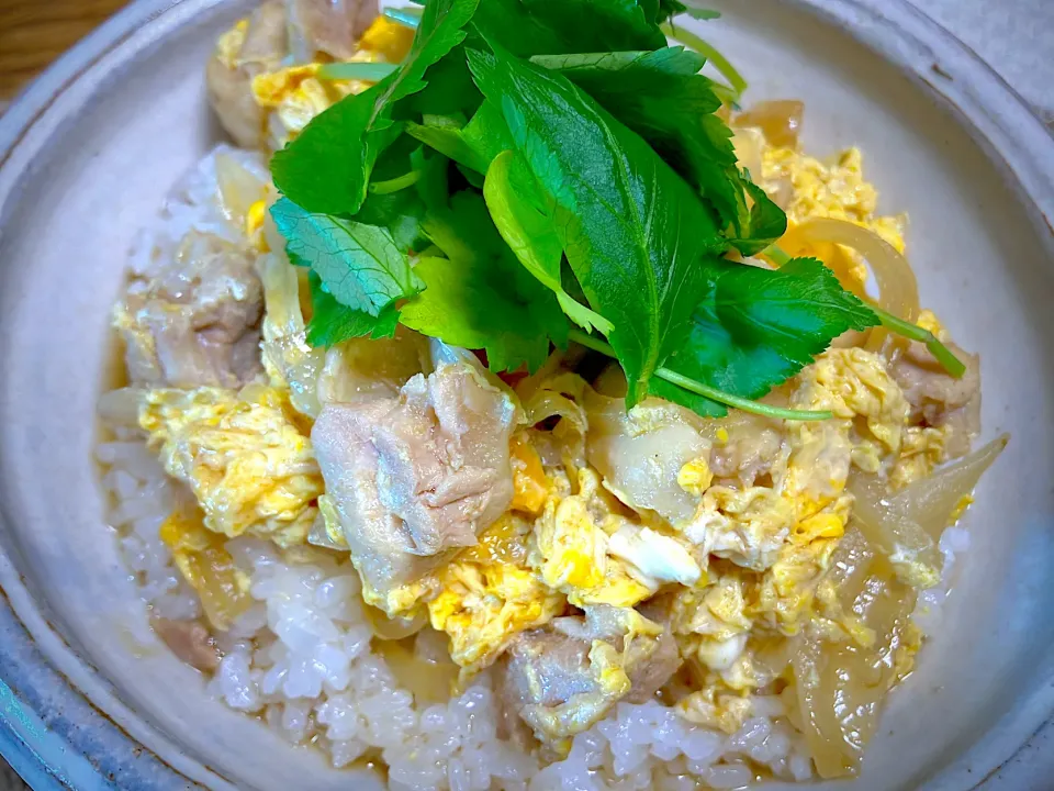 親子丼|ヒヨリ飯さん