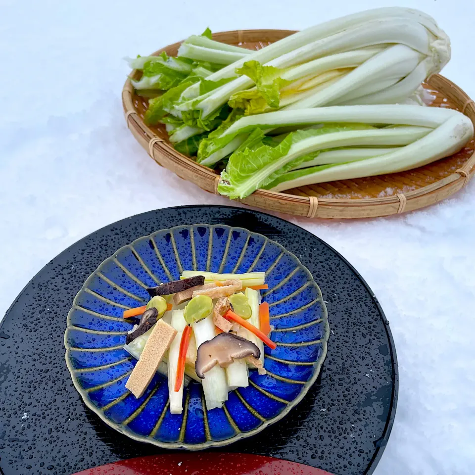 伝統野菜【雪菜】のふすべ漬け|ひだまり農園さん