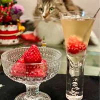 イチゴ🍓で聖水沐浴🍾|にゃあ（芸名）さん