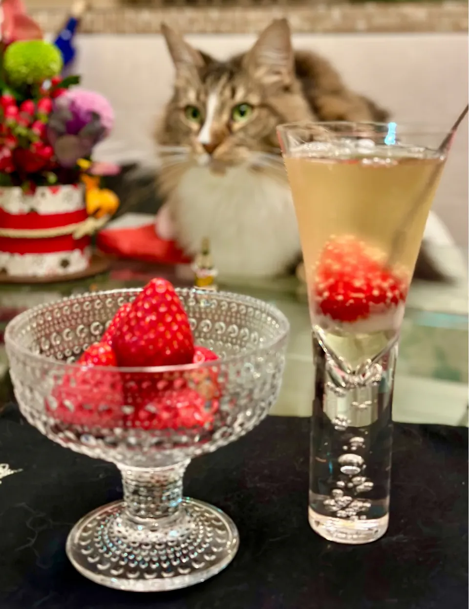 イチゴ🍓で聖水沐浴🍾|にゃあ（芸名）さん