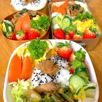 家族お弁当🍱❀︎.(*´▽︎`*)❀︎.❤️|ふみぃさん