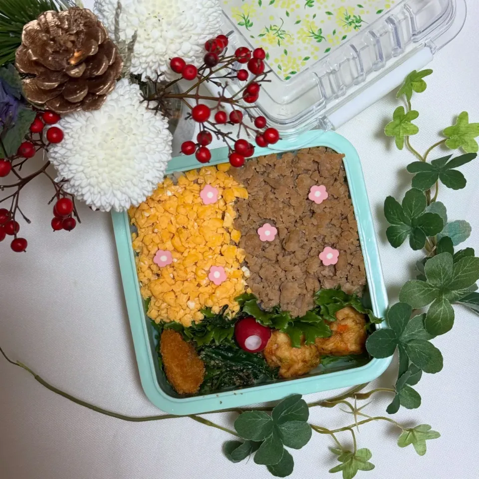 1/6❤︎お正月休み明け主人のニ色そぼろ弁当🌱

＊ 鶏そぼろ
＊ たまごそぼろ
＊ えびとひじきのふんわり揚げ
＊ 白身魚のフライ
＊ ほうれん草の胡麻和え|Makinsさん