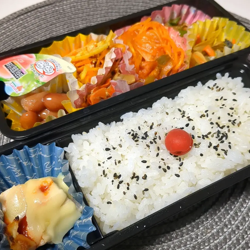 1月6日お弁当|鈴木さとしさん