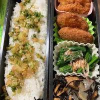 今日のお弁当　1/6|まりちゅんさん